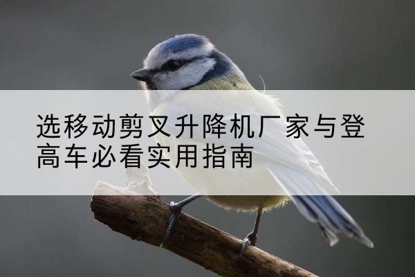 兴安盟电动升降机厂家-选移动剪叉升降机厂家与登高车必看实用指南