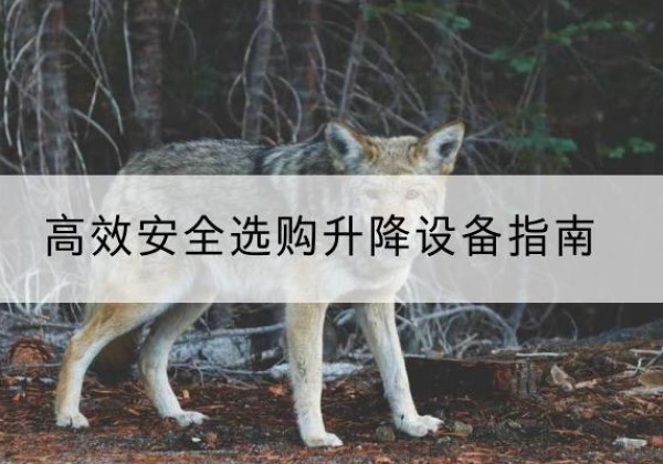 兴安盟升降货梯厂家推荐-*安全选购升降设备指南